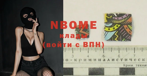 сатива Елизово