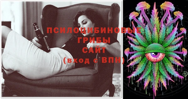 спайс Ельня