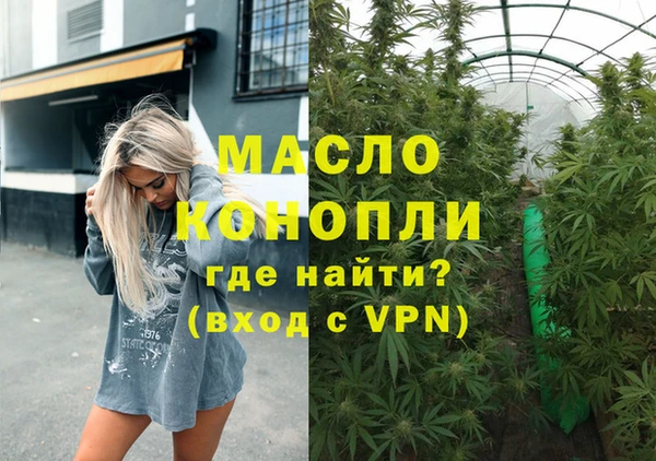 сатива Елизово