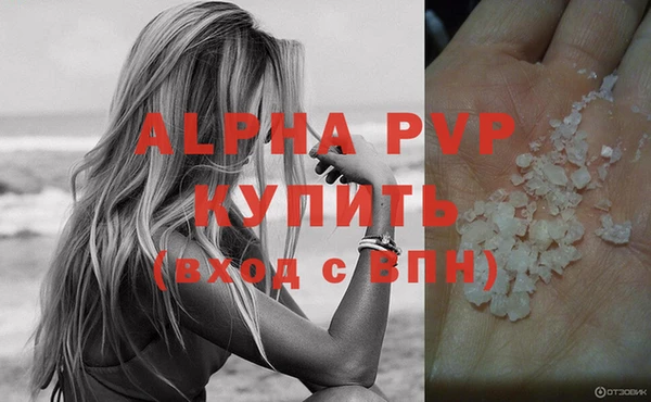сатива Елизово