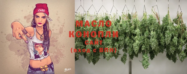 сатива Елизово