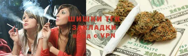 дурь Нестеровская