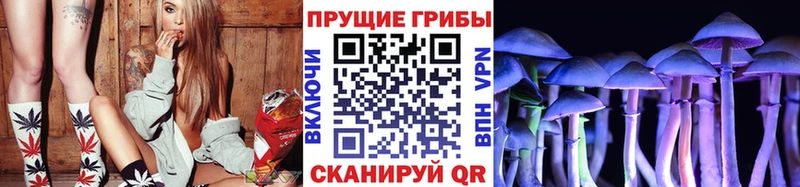 Псилоцибиновые грибы ЛСД  сколько стоит  Далматово 