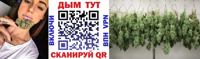 Конопля марихуана  Далматово 